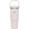 Stanley IceFlow Stainless Steel Tumbler with Straw - Vacuum Insulated Water