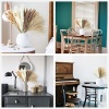 Dried Pampas Grass Decor, 100 PCS Pampas Grass Contains Bunny Tails Dried - Image 6