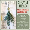 20 Pcs Preserved Dried Eucalyptus Stems, 17" Natural Fresh Eucalyptus Bundles - Image 4