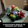 LEGO Icons Succulents 10309 Artificial Plants Set for Adults, Home Decor - Image 2