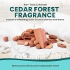 Cedar and Lavender for Closets - Cedar Balls for Clothes Storage - Cedar Closet - Image 5