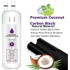 Refrigerator Water Filter 1 Compatible with Whirlpool W10295370A, W10295370 - Image 5