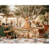 Dried Pampas Grass Decor, 100 PCS Pampas Grass Contains Bunny Tails Dried - Image 7